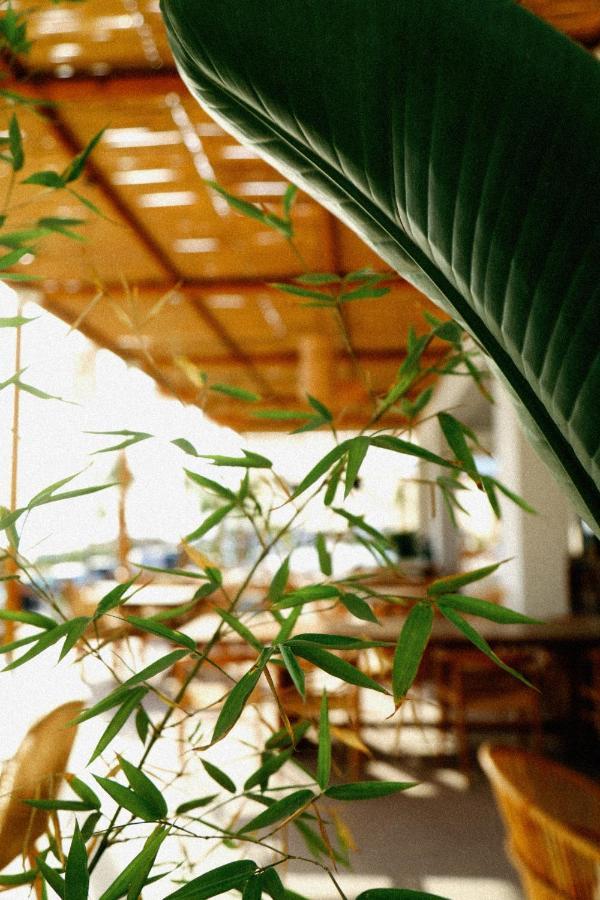 Hotel Ionian Dhermi Ngoại thất bức ảnh